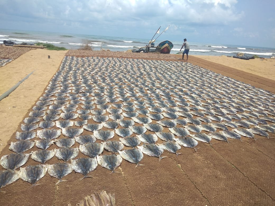 Galappathhi et al image