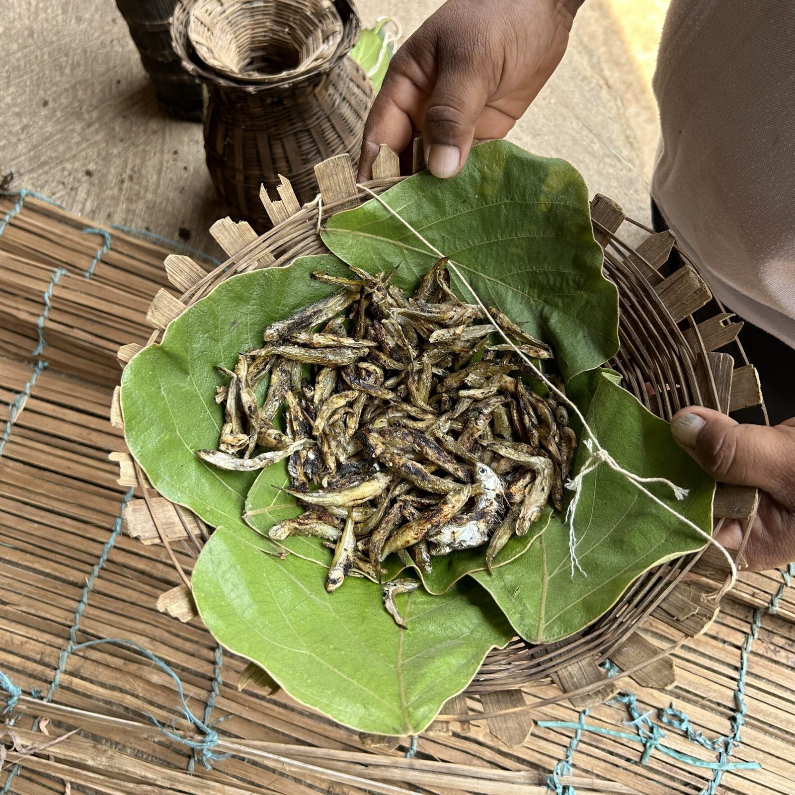 dried fish adivasi household scaled